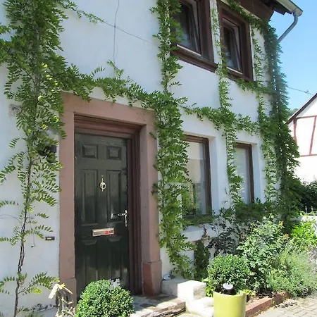 Vakantiehuis The Little